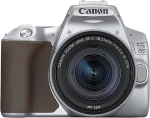 Canon EOS 250D + 18-55mm IS STM Kit, hõbedane kaina ir informacija | Fotoaparaadid | kaup24.ee