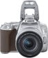 Canon EOS 250D + 18-55mm IS STM Kit, hõbedane цена и информация | Fotoaparaadid | kaup24.ee