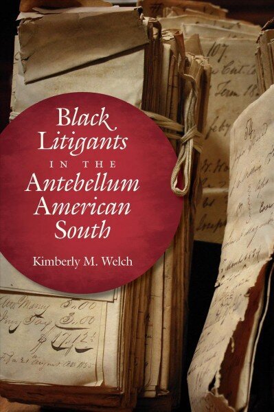 Black Litigants in the Antebellum American South hind ja info | Majandusalased raamatud | kaup24.ee