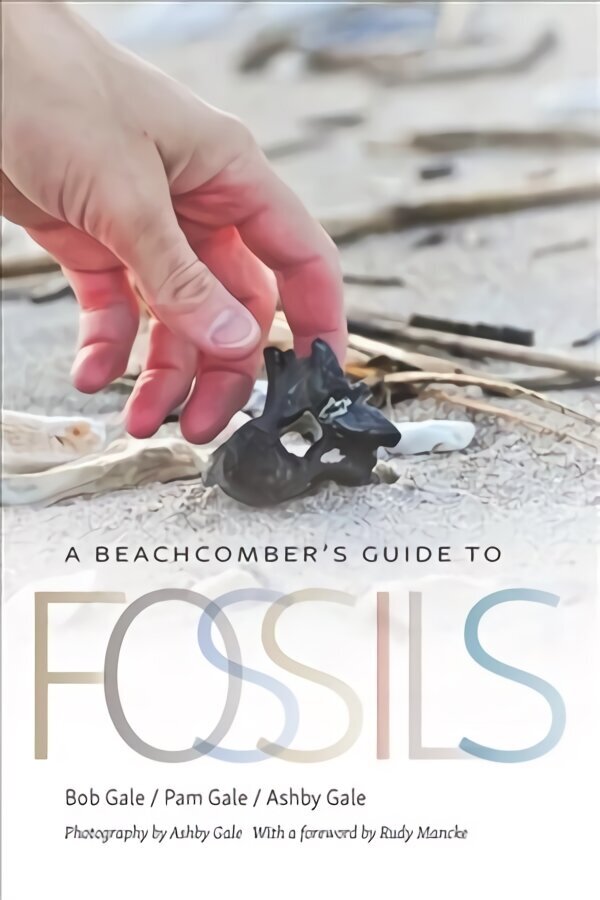 Beachcomber's Guide to Fossils цена и информация | Ühiskonnateemalised raamatud | kaup24.ee