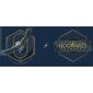 Harry Potter Hogwarts Legacy цена и информация | Fännitooted mänguritele | kaup24.ee