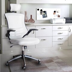 Офисный стул Ragusa, Серый цена и информация | Офисные кресла | kaup24.ee