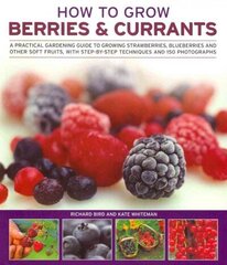 How to Grow Berries and Currants: A Practical Gardening Guide for Great Results, with Step-by-step Techniques and 185 Colour Photographs цена и информация | Книги по садоводству | kaup24.ee