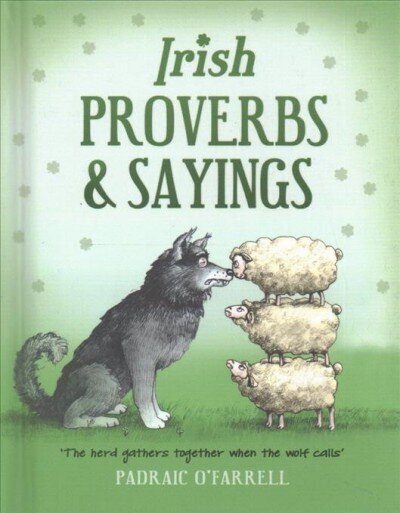 Irish Proverbs and Sayings hind ja info | Entsüklopeediad, teatmeteosed | kaup24.ee