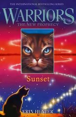 SUNSET, Book 6 цена и информация | Книги для подростков и молодежи | kaup24.ee