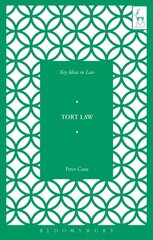 Key Ideas in Tort Law hind ja info | Majandusalased raamatud | kaup24.ee