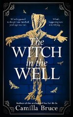 Witch in the Well: A deliciously disturbing Gothic tale of a revenge reaching out across the years hind ja info | Fantaasia, müstika | kaup24.ee