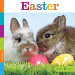 Easter цена и информация | Книги для подростков и молодежи | kaup24.ee