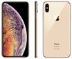 Mobiiltelefon Apple iPhone Xs Max, 64 GB, Kuldne цена и информация | Telefonid | kaup24.ee