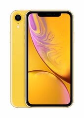 Mobiiltelefon Apple iPhone XR, 64 GB, Kollane цена и информация | Мобильные телефоны | kaup24.ee