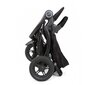 Graco sportlik jalutuskäru TrailRider, black hind ja info | Vankrid, jalutuskärud | kaup24.ee