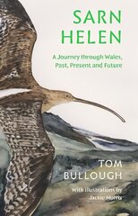 Sarn Helen: A Journey Through Wales, Past, Present and Future цена и информация | Поэзия | kaup24.ee
