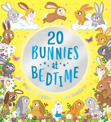 Twenty Bunnies at Bedtime hind ja info | Väikelaste raamatud | kaup24.ee
