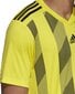 Jalgpallisärk Adidas Striped 19 Jsy, kollane цена и информация | Jalgpalli varustus ja riided | kaup24.ee