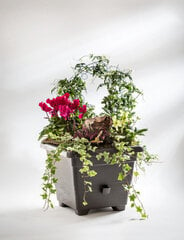 Isekastuv lillepott 18L 40x40cm Bergamot, pruun hind ja info | Dekoratiivsed lillepotid | kaup24.ee