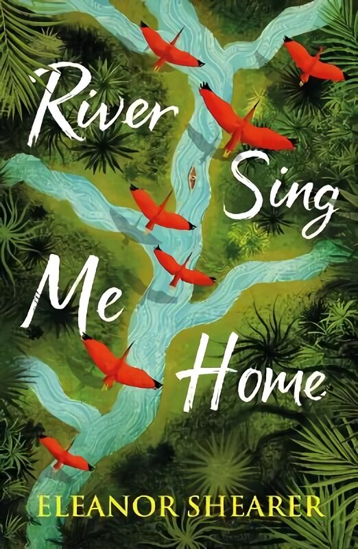 River Sing Me Home: THE unmissable fiction debut of 2023 - witness one mother's remarkable journey to find her stolen children hind ja info | Fantaasia, müstika | kaup24.ee