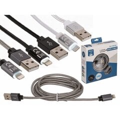 Data Cable Lightning 2m цена и информация | Кабели для телефонов | kaup24.ee