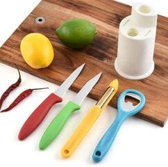 Набор ножей, 4 шт. цена и информация | Ножи и аксессуары для них | kaup24.ee
