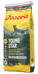 Kuivtoit koertele Josera Dog Junior Youngstar Grainfree, 15 kg цена и информация | Сухой корм для собак | kaup24.ee