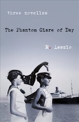 Phantom Glare of Day: A Novel hind ja info | Fantaasia, müstika | kaup24.ee