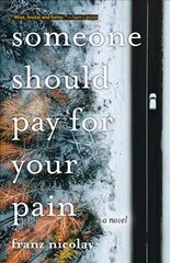 Someone Should Pay for Your Pain: A Novel цена и информация | Фантастика, фэнтези | kaup24.ee