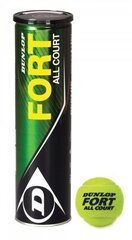 Tennisepallid Dunlop Fort All Court, 4 tk. hind ja info | Välitennise tooted | kaup24.ee