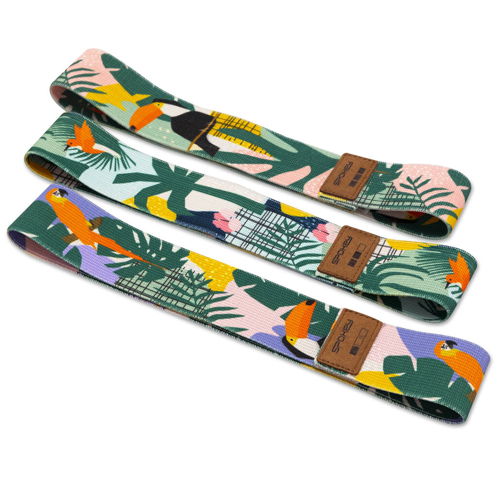 Treeningkummide komplekt Spokey Home Jungle, 320 mm x 50 mm, 3 tk. цена и информация | Treeningkummid | kaup24.ee