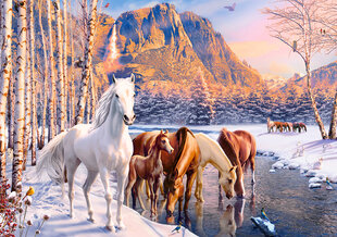 CASTORLAND Puzzle 500tk. Winter Melt – Hobused talvemaastikul hind ja info | Pusled | kaup24.ee