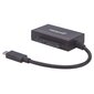 Adapter Manhattan 152976, CFast, SATA hind ja info | USB jagajad, adapterid | kaup24.ee