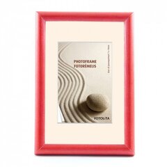 Pildiraam Polaris 21x30 cm цена и информация | Рамки, фотоальбомы | kaup24.ee
