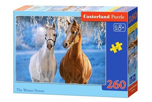CASTORLAND Puzzle 260el. The winter Horses - Zimowe konie цена и информация | Пазлы | kaup24.ee