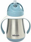 Béaba Baby Thermos Flask Béaba 250 ml hind ja info | Lutipudelid ja aksessuaarid | kaup24.ee