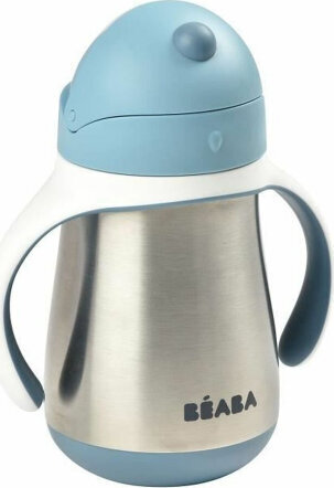 Béaba Baby Thermos Flask Béaba 250 ml цена и информация | Lutipudelid ja aksessuaarid | kaup24.ee