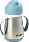 Béaba Baby Thermos Flask Béaba 250 ml hind ja info | Lutipudelid ja aksessuaarid | kaup24.ee