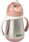 Béaba Baby Thermos Flask Béaba 250 ml hind ja info | Lutipudelid ja aksessuaarid | kaup24.ee