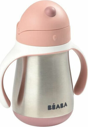 Béaba Baby Thermos Flask Béaba 250 ml hind ja info | Lutipudelid ja aksessuaarid | kaup24.ee