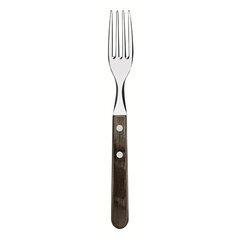 Tramontina Fork Set Tramontina Jumbo Polywood Stainless steel 6 Units цена и информация | Столовые приборы | kaup24.ee