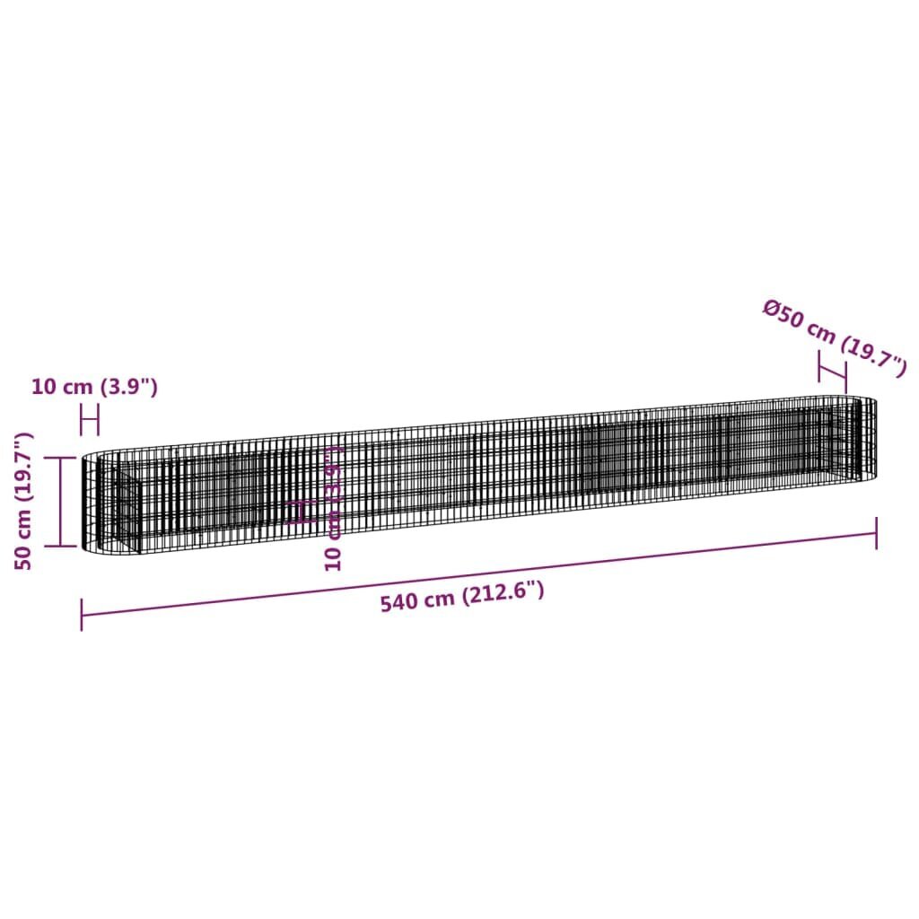 vidaXL gabioon taimelava, tsingitud raud, 540 x 50 x 50 cm hind ja info | Istutus- ja turbapotid | kaup24.ee