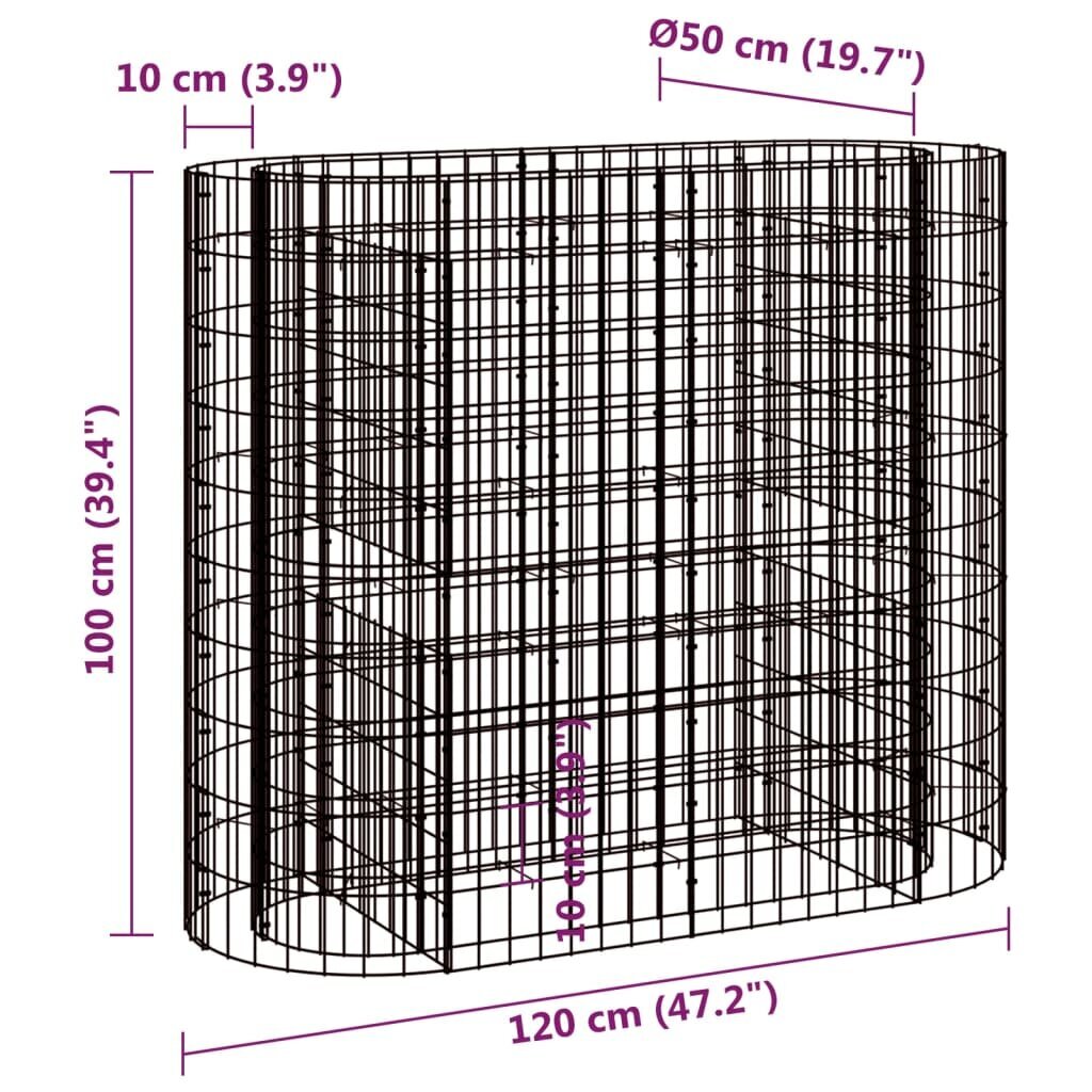 vidaXL gabioon taimelava, tsingitud raud, 120 x 50 x 100 cm hind ja info | Istutus- ja turbapotid | kaup24.ee