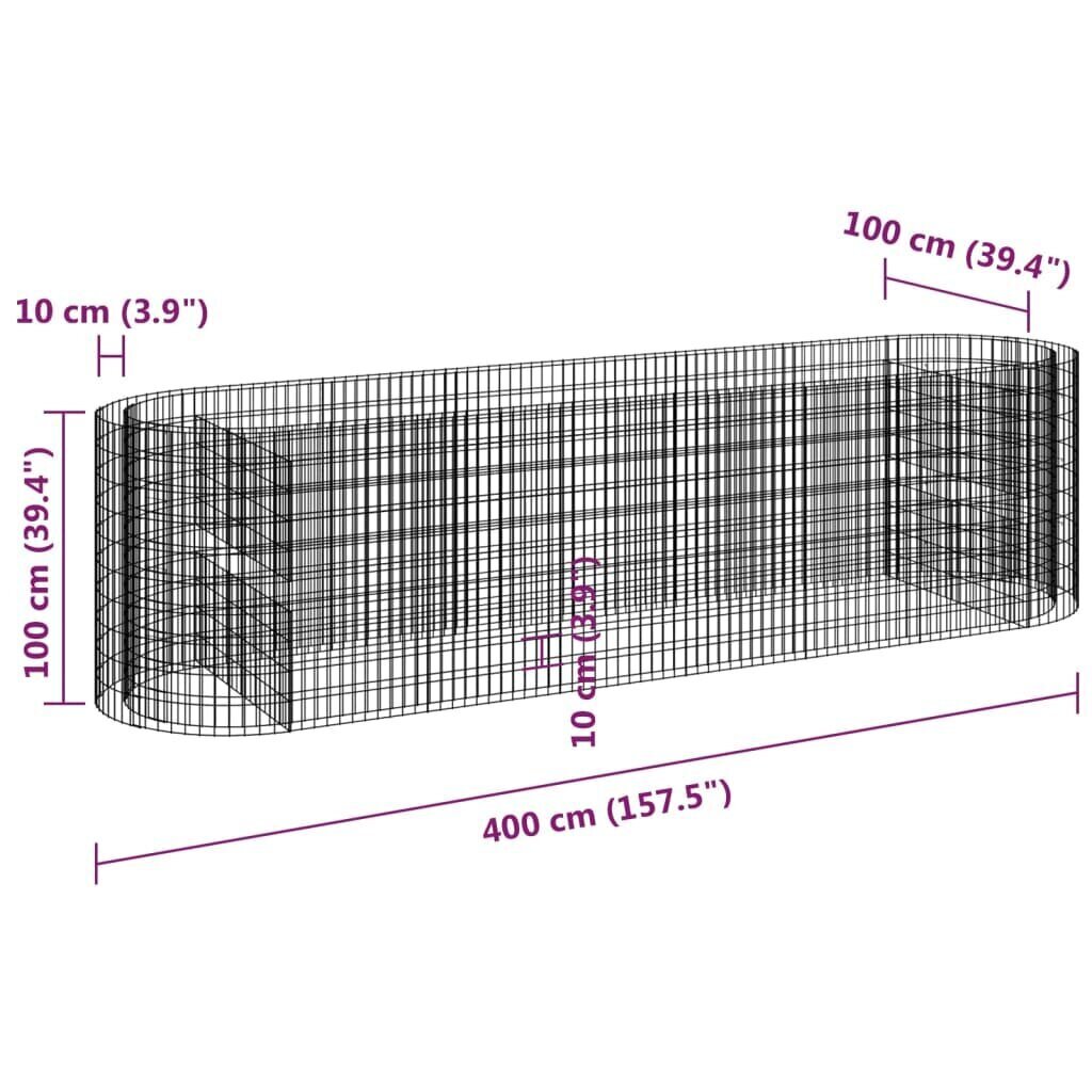 vidaXL gabioon taimelava, tsingitud raud, 400 x 100 x 100 cm hind ja info | Dekoratiivsed lillepotid | kaup24.ee