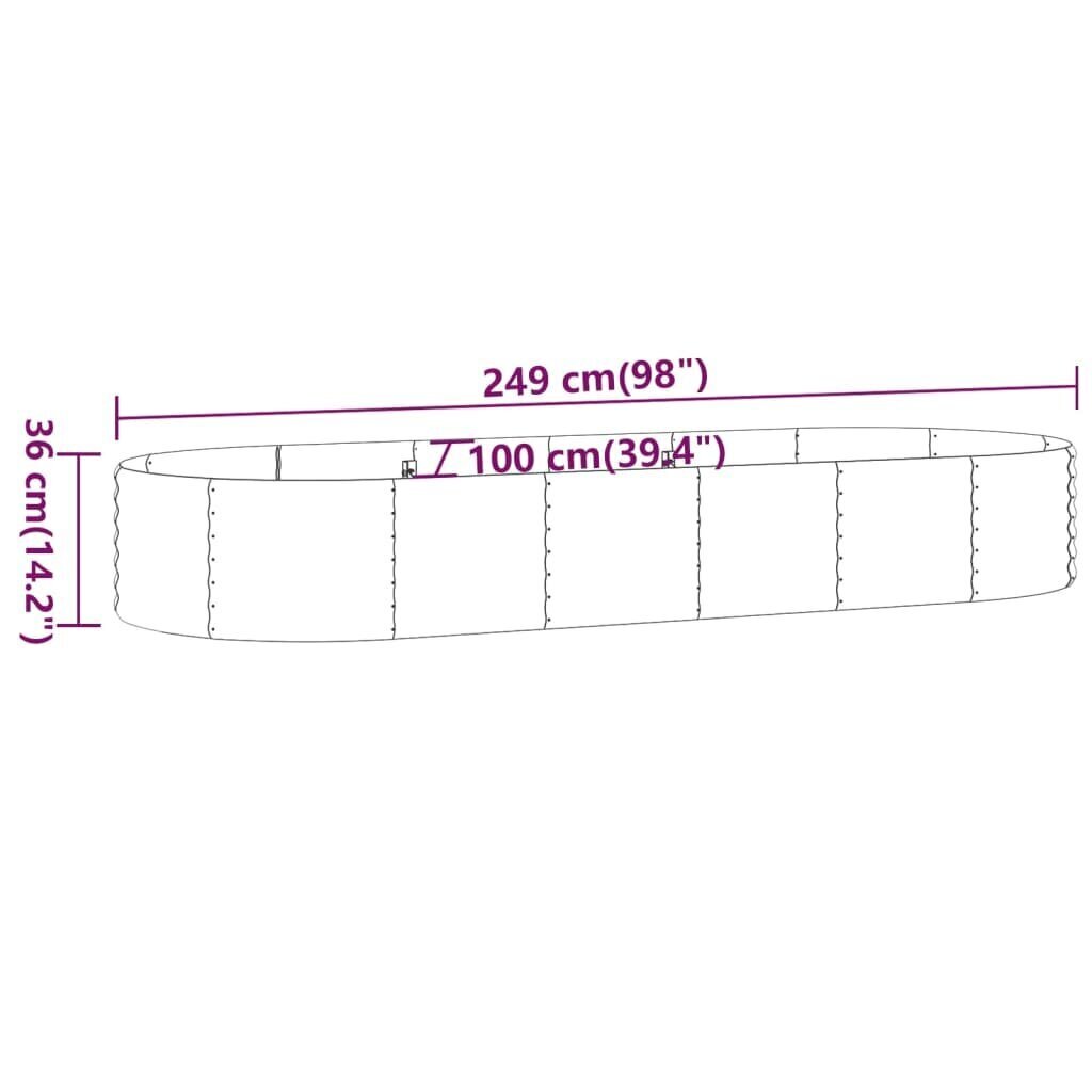 vidaXL aia taimekast, pulbervärvitud teras, 249x100x36 cm, antratsiit hind ja info | Lillekastid | kaup24.ee