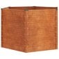 vidaXL taimekast, hall, 129 x 129 x 77 cm, Corten-teras hind ja info | Lillekastid | kaup24.ee