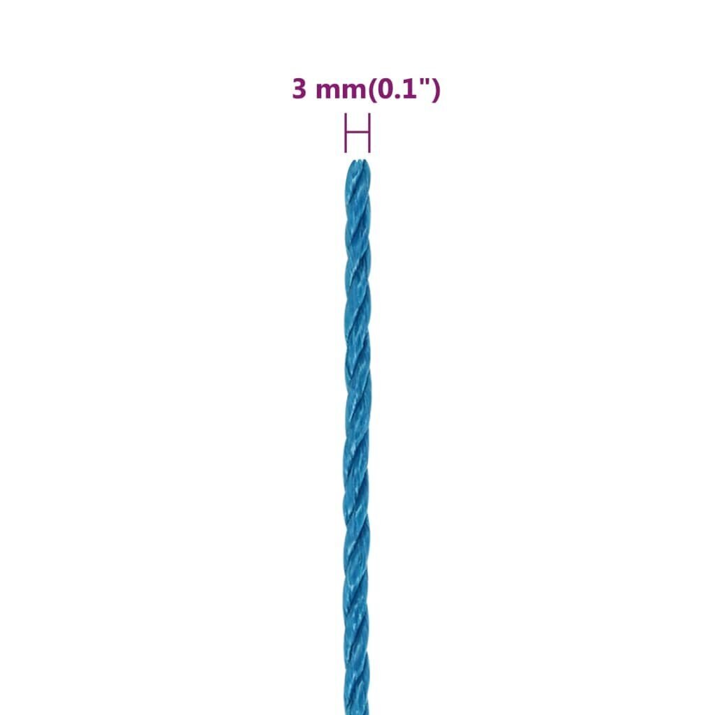 vidaXL töököis, sinine, 3 mm, 25 m, polüpropüleen цена и информация | Aiatööriistad | kaup24.ee