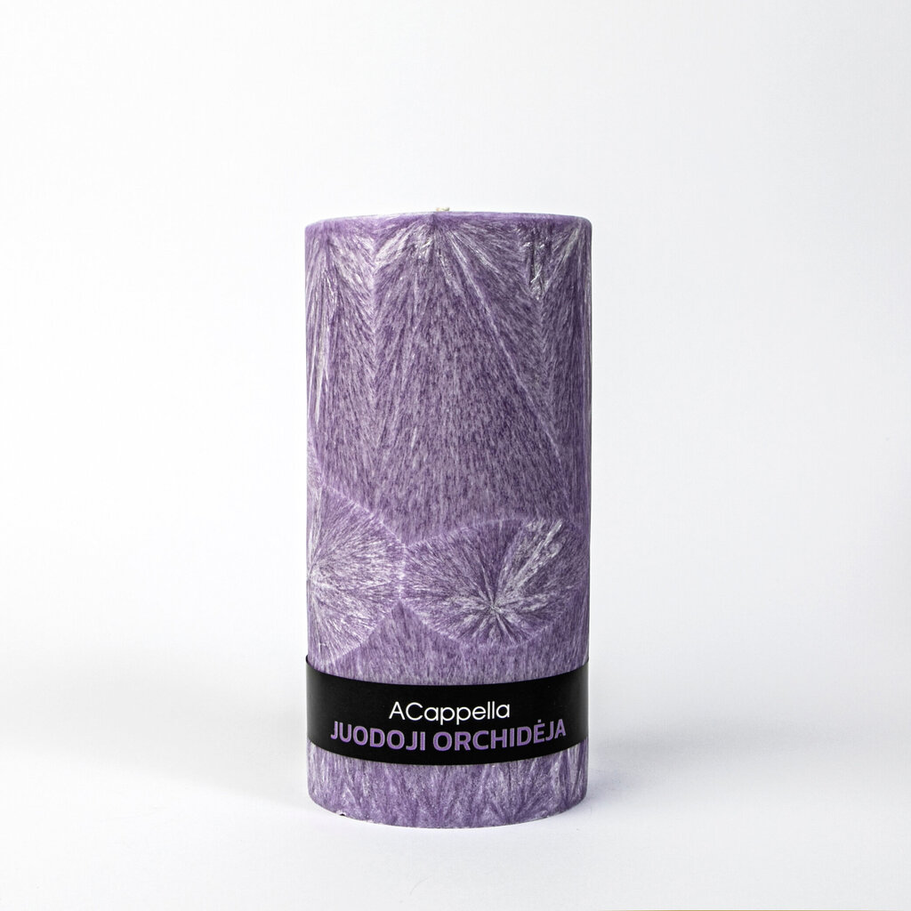 Accapella käsitsi valmistatud 100% palmivaha lõhnaküünal "Must orhidee", 16 cm цена и информация | Küünlad, küünlajalad | kaup24.ee