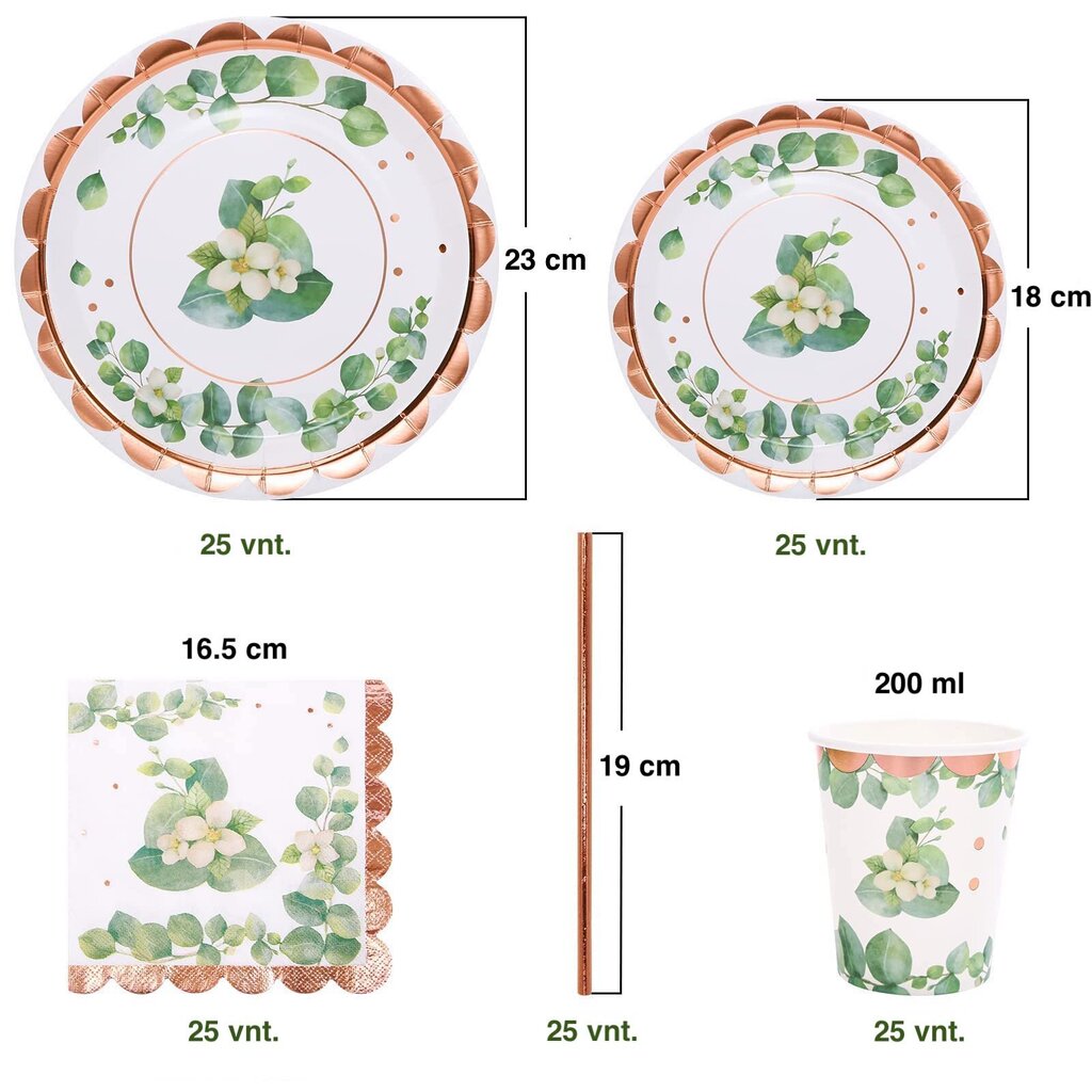 Ühekordsete lauanõude komplekt pidustusteks, 25 inimesele hind ja info | Ühekordsed nõud | kaup24.ee