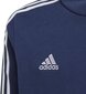 Dressipluus Adidas Tiro 21 Sweat Hoody Junior GK9680, sinine цена и информация | Jalgpalli varustus ja riided | kaup24.ee