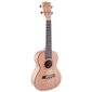 V-TONE UK23 kontsert ukulele + kott hind ja info | Kitarrid | kaup24.ee