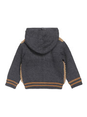 Детский свитер DIRKJE U-Explore Camel Blue 520856288 цена и информация | Свитеры, жилетки, пиджаки для мальчиков | kaup24.ee