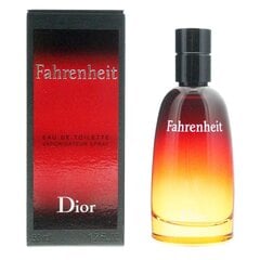 Туалетная вода Dior Fahrenheit EDT мужская 50 мл цена и информация | Мужские духи | kaup24.ee