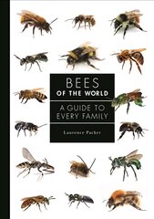 Bees of the World: A Guide to Every Family цена и информация | Книги по экономике | kaup24.ee